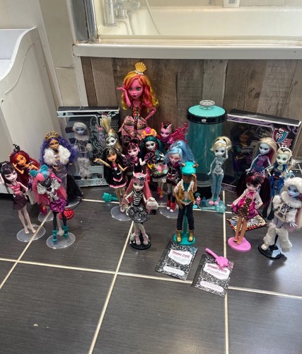 Monster high doll - high,
